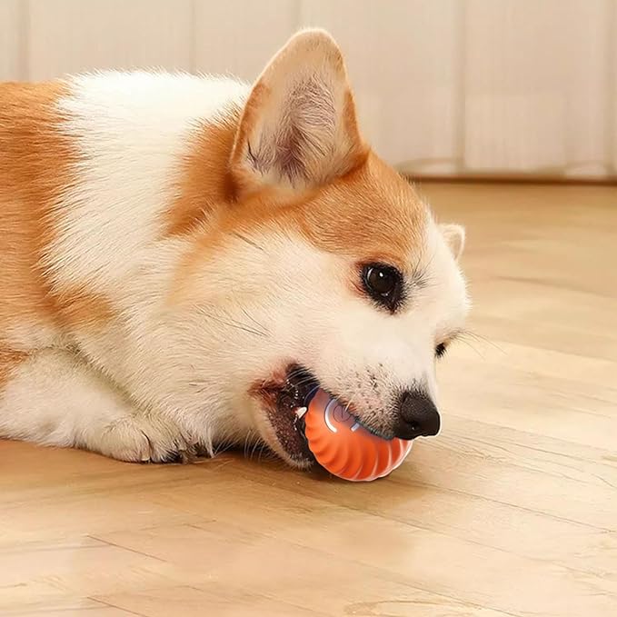 Passionsâą Automatischer intelligenter Hundeball zum Necken | 50% RABATT