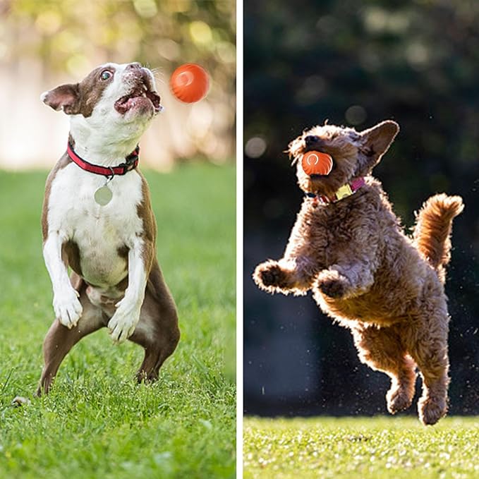 Passionsâą Automatischer intelligenter Hundeball zum Necken | 50% RABATT