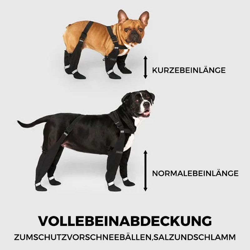PawGuard™ - Sichere und komfortable Pfoten | 1+1 GRATIS