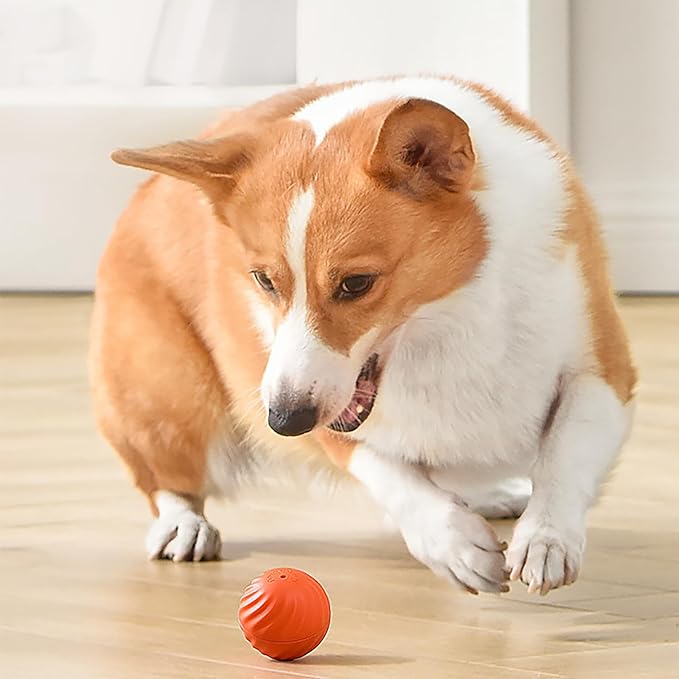 Passionsâą Automatischer intelligenter Hundeball zum Necken | 50% RABATT