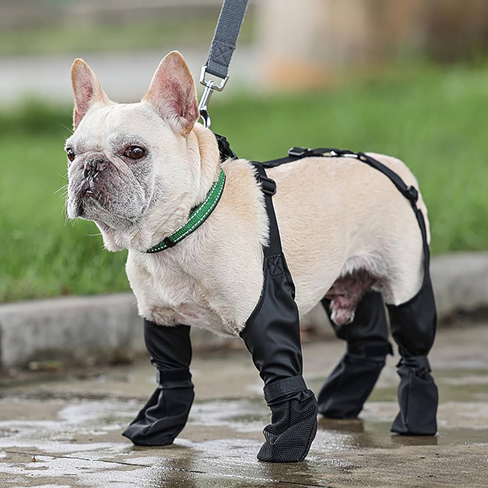 Dogsy™ Wasserdichte Hosenträgerstiefel | 50% RABATT