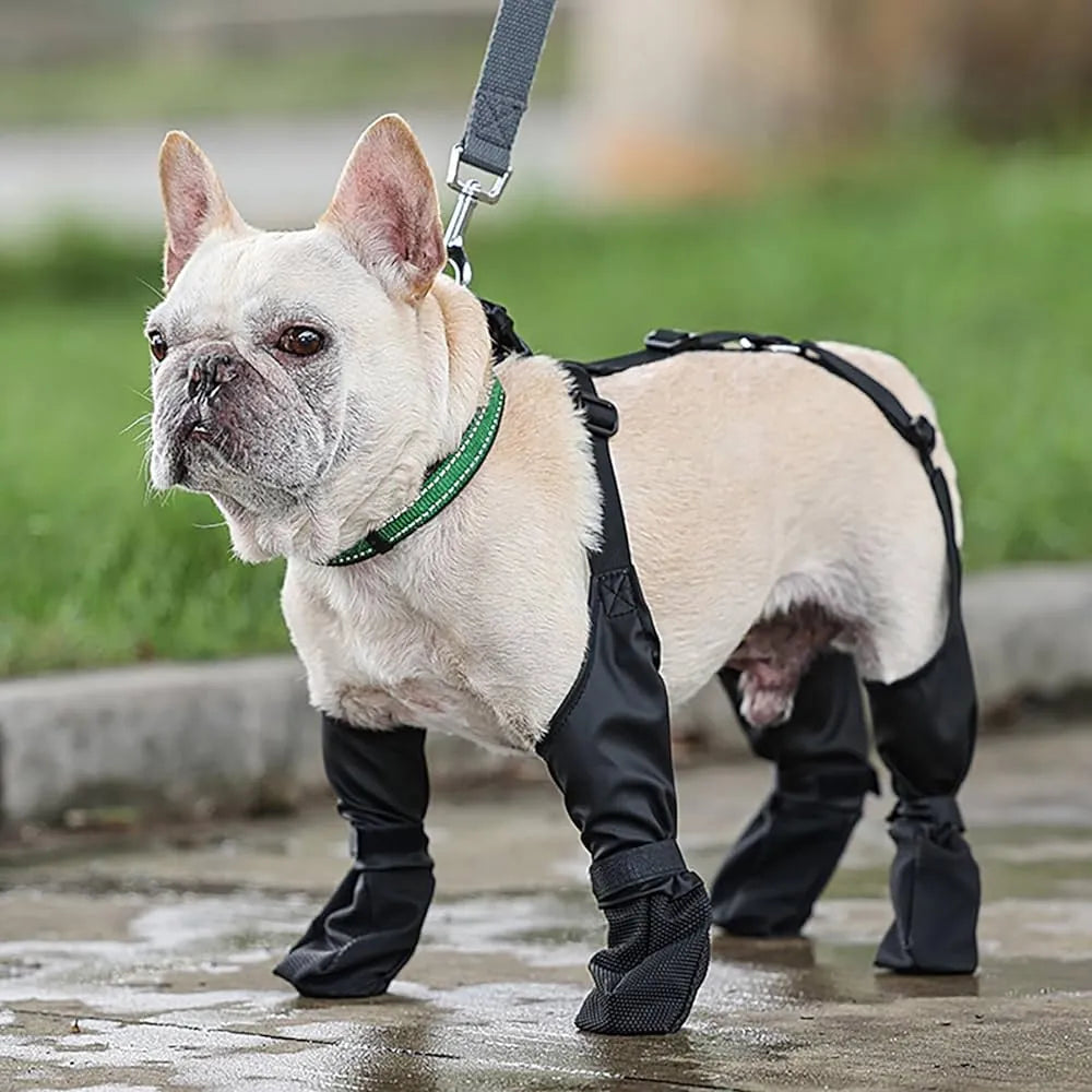 Dogsy™ Wasserdichte Hosenträgerstiefel | 50% RABATT