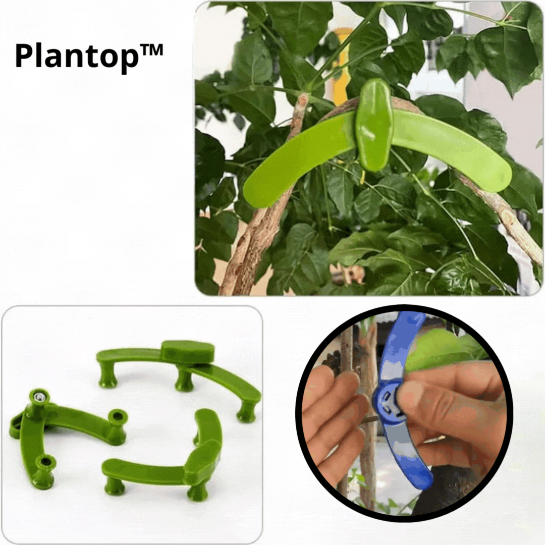 Plantop™ - Winkeleinstellbare Pflanzentrainingsclips - Verbessern Sie das Leben Ihrer Pflanzen!