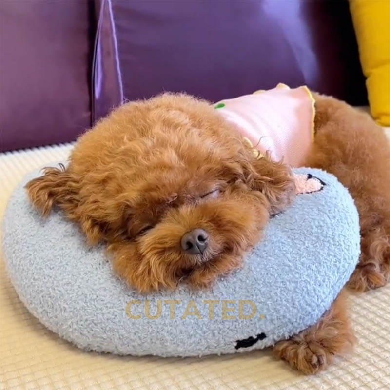 PetPillow™ - Der ultimative Beruhigungsbegleiter für Ihr Haustier
