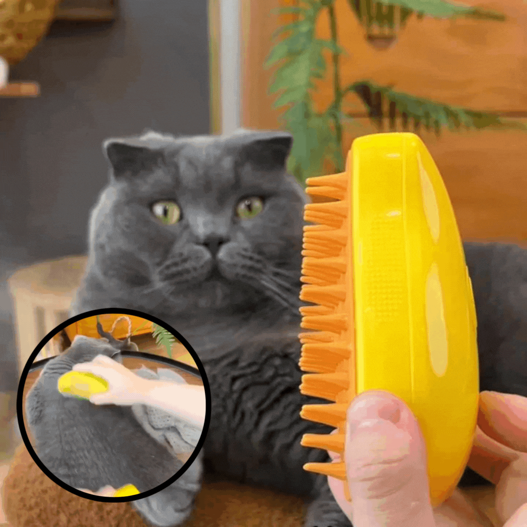 CleanBrush™ - 3-in-1 dampfende Katzenbürste