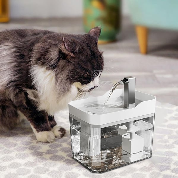 Automatischer Haustier-Wasserbrunnen