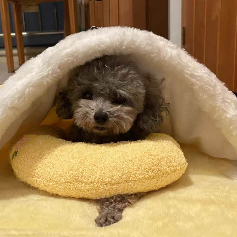 PetPillow™ - Der ultimative Beruhigungsbegleiter für Ihr Haustier