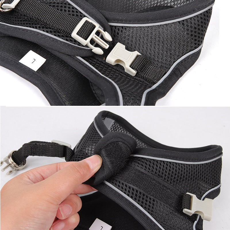 Passions™ Verstelbare Puppy Vest
