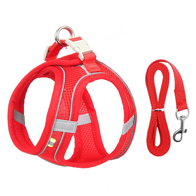 Passions™ Verstelbare Puppy Vest