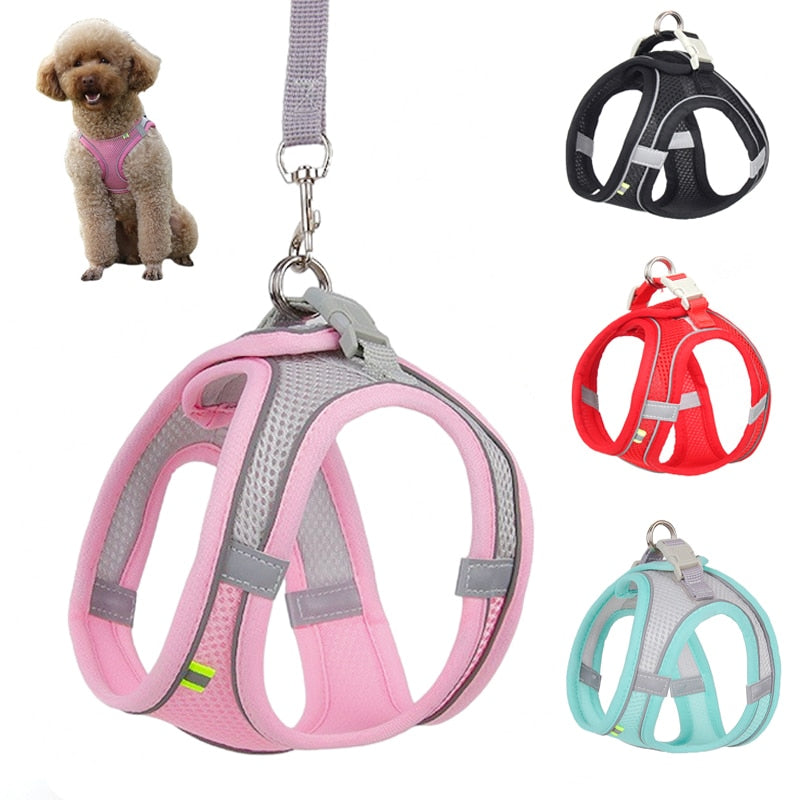 Passions™ Verstelbare Puppy Vest