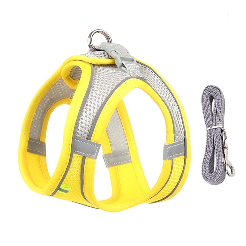 Passions™ Verstelbare Puppy Vest
