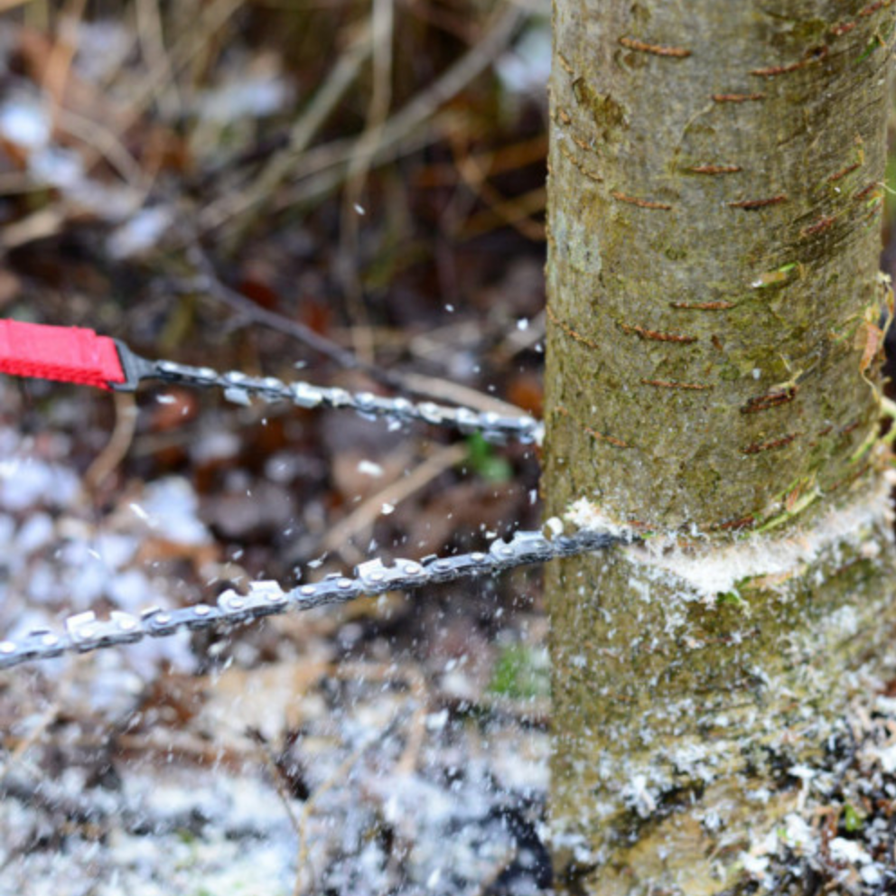 PocketChainsaw™ - Perfekte Mini-Kettensäge für die Holzbearbeitung【Letzter tag Rabatt】