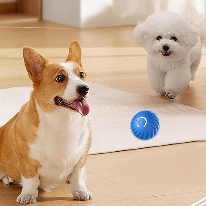 Passionsâą Automatischer intelligenter Hundeball zum Necken | 50% RABATT