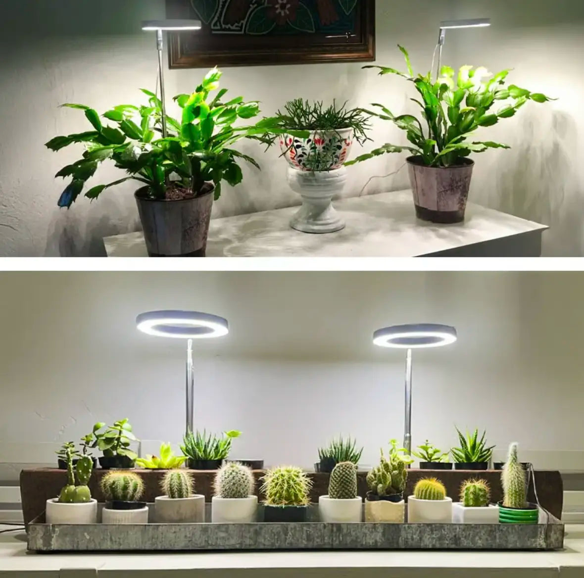 Pflanzenlampe mit Vollspektrum und verstellbarem Ständer