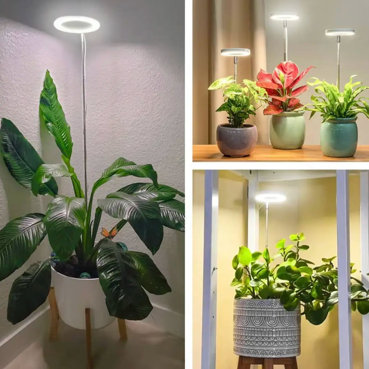 Pflanzenlampe mit Vollspektrum und verstellbarem Ständer