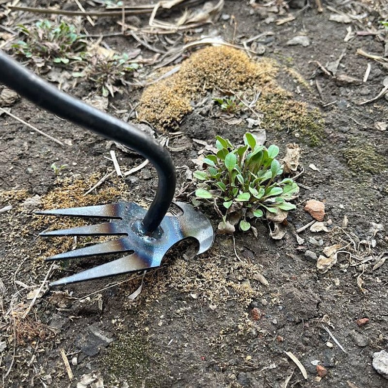 WeedZiehen™ Metall-Unkrautstecher
