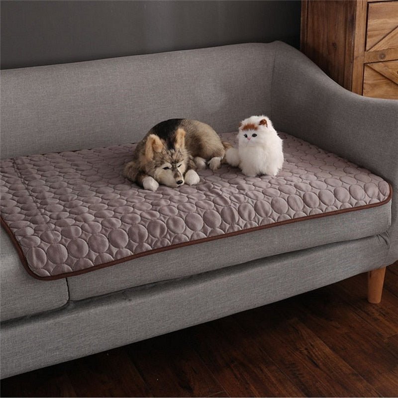 PetCooler™ - Direkte Kühlung