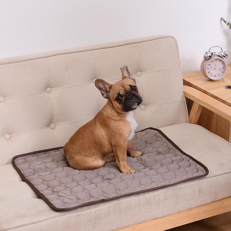 PetCooler™ - Direkte Kühlung