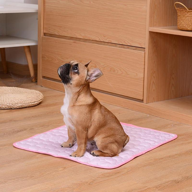 PetCooler™ - Direkte Kühlung