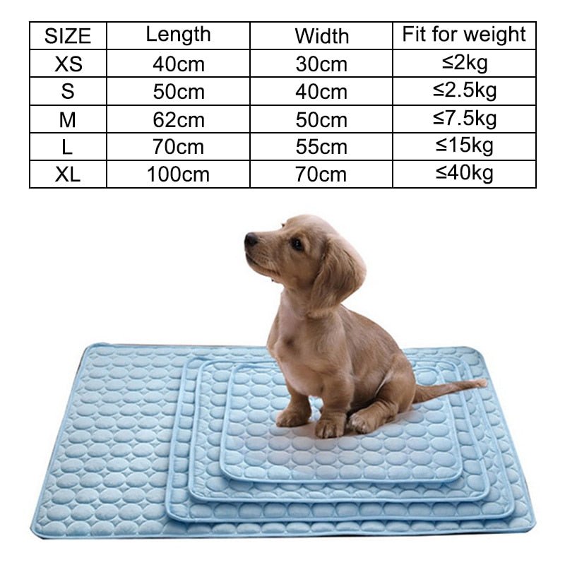 PetCooler™ - Direkte Kühlung