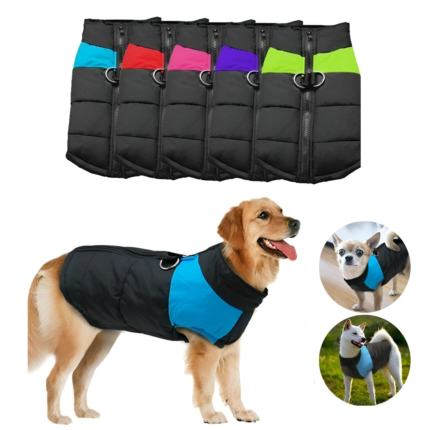 WinterShield™ Wärmen Sie Ihren Hund im Winter | 50% RABATT