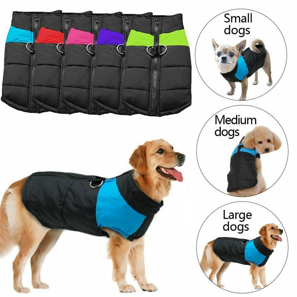 WinterShield™ Wärmen Sie Ihren Hund im Winter | 50% RABATT