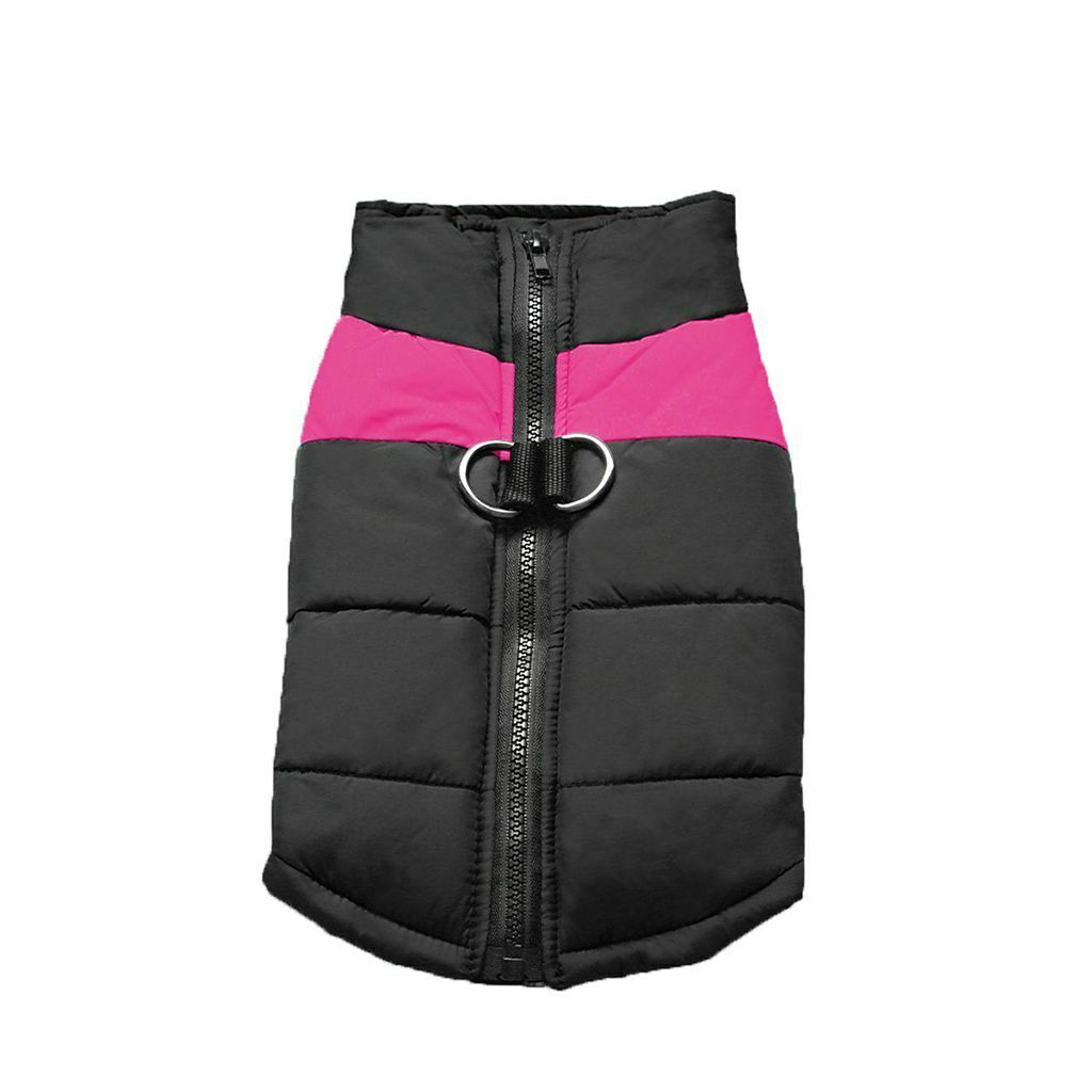 WinterShield™ Wärmen Sie Ihren Hund im Winter | 50% RABATT