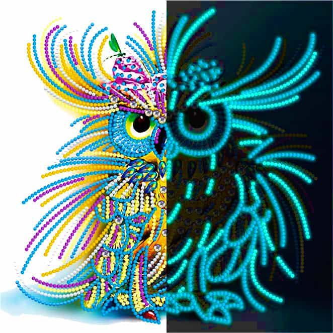 2+1 gratis! | Diamond Painting Nachtleuchtend - Eule mit langem Federkleid