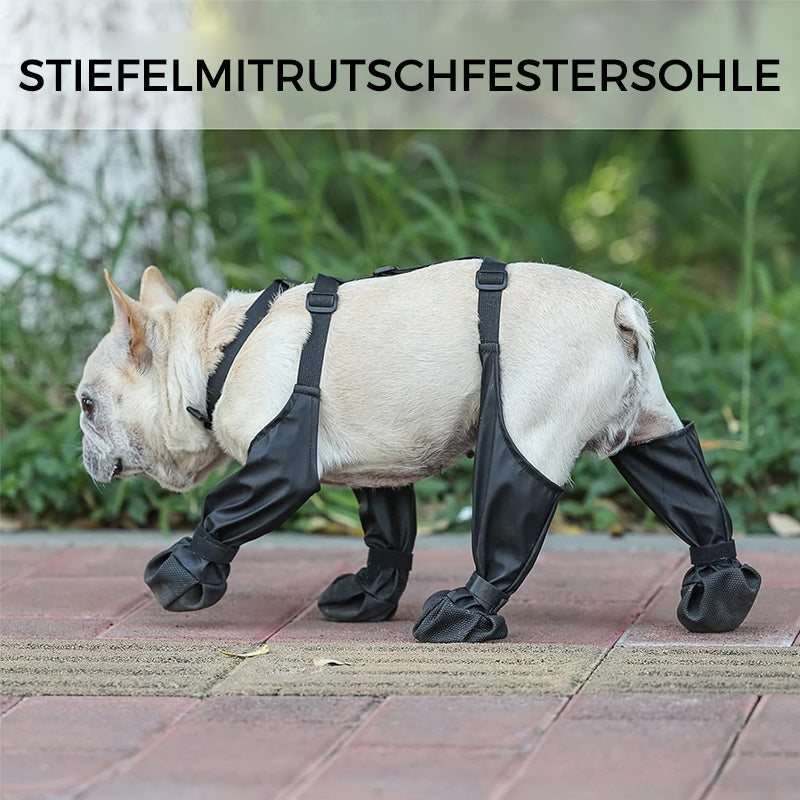 PawGuard™ - Sichere und komfortable Pfoten | 1+1 GRATIS