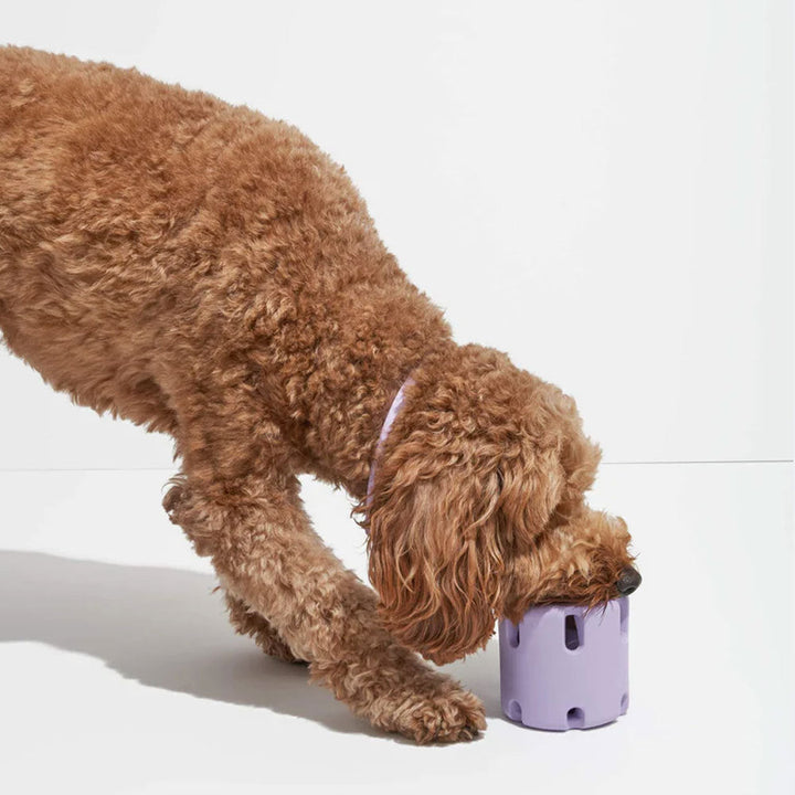 FetchJoy – Fördern Sie Gesundheit und Glück mit interaktivem Kauspielzeug für Hunde | 50% RABATT