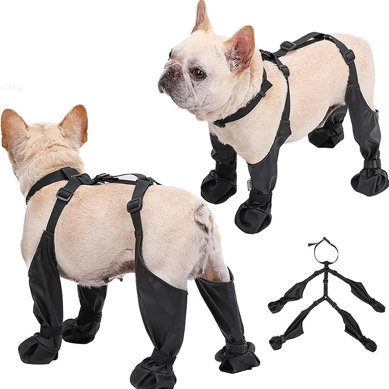 PawGuard™ - Sichere und komfortable Pfoten | 1+1 GRATIS