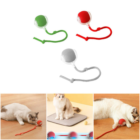 KatzenPower | 1+1 GRATIS