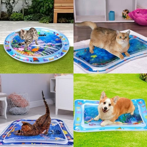 AquaPlay - Die perfekte Wassermatte für Haustiere | 50% RABATT