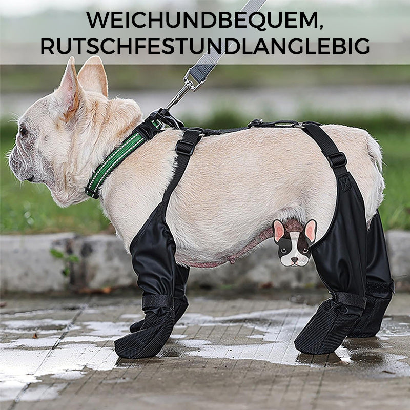 PawGuard™ - Sichere und komfortable Pfoten | 1+1 GRATIS