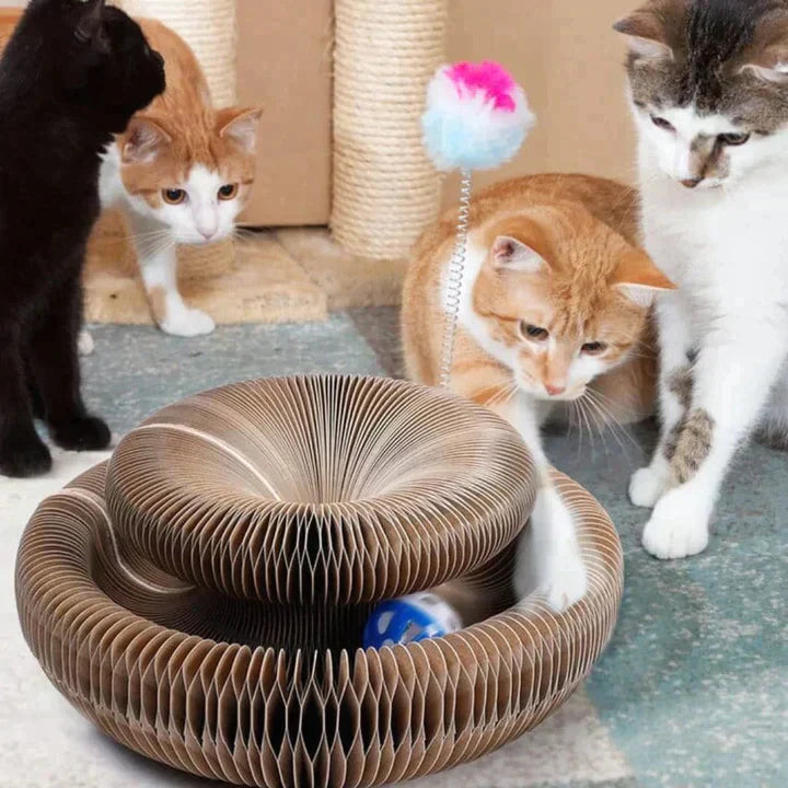HappyCat™ - Kratzspielzeug für Katzen
