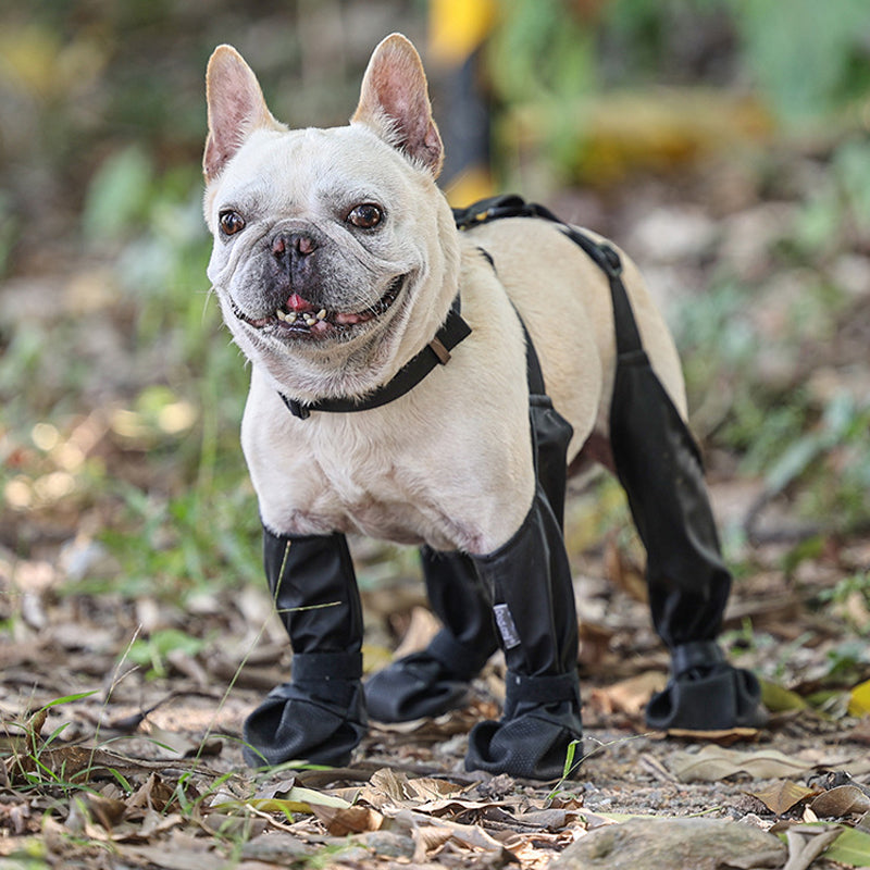 PawGuard™ - Sichere und komfortable Pfoten | 1+1 GRATIS