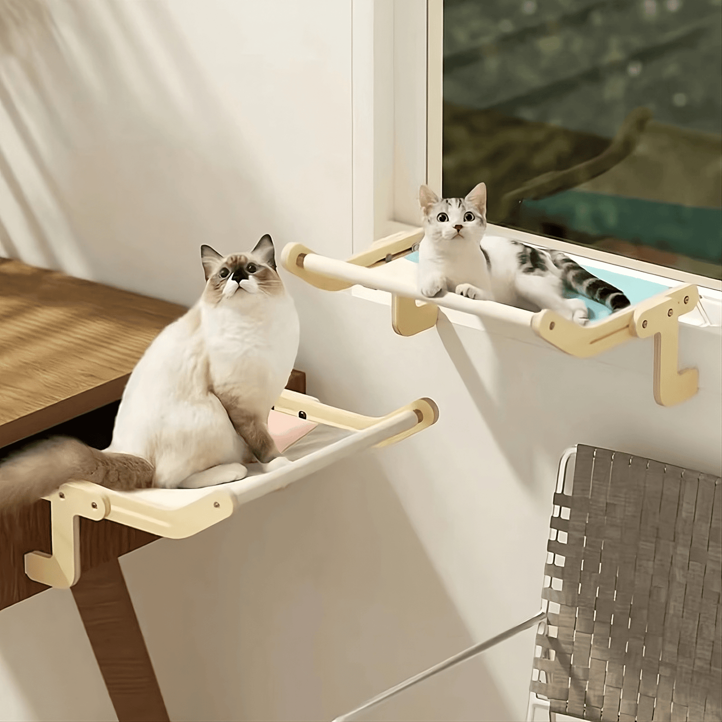 Schwebebett™ - Schwimmendes Katzenbett