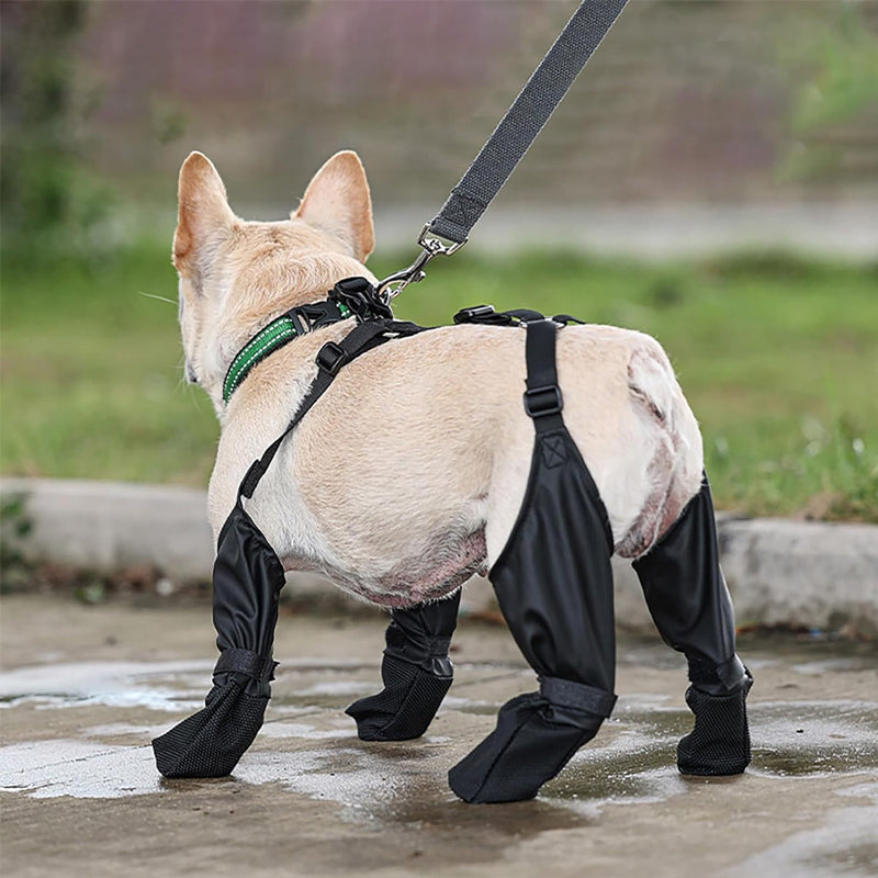 PawGuard™ - Sichere und komfortable Pfoten | 1+1 GRATIS