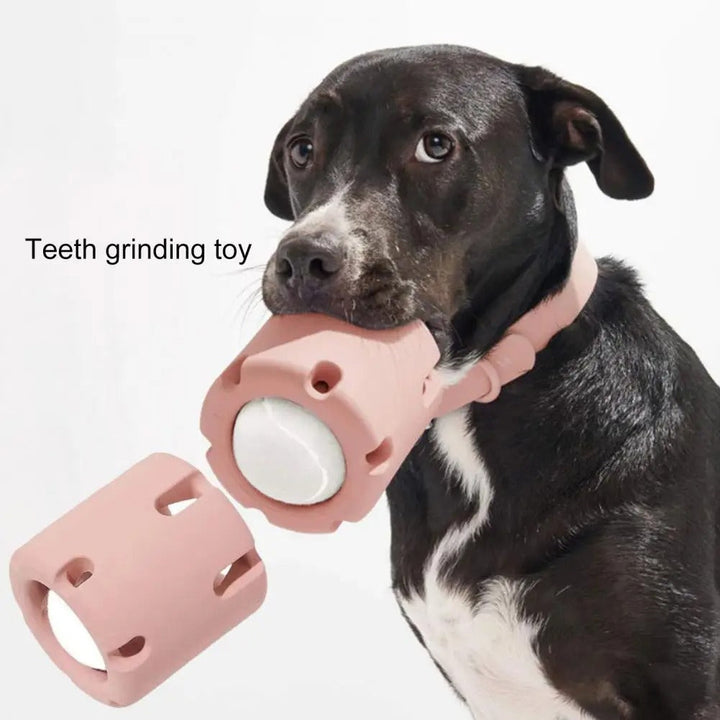 FetchJoy – Fördern Sie Gesundheit und Glück mit interaktivem Kauspielzeug für Hunde | 50% RABATT