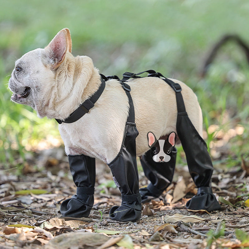 PawGuard™ - Sichere und komfortable Pfoten | 1+1 GRATIS