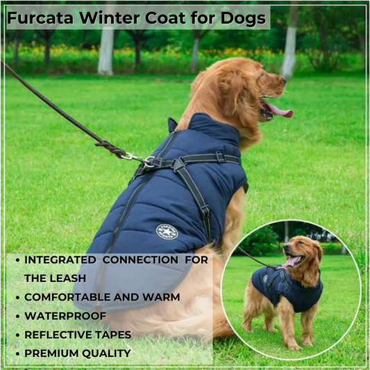 Furcata - Wintermantel für Hunde | 50% RABATT
