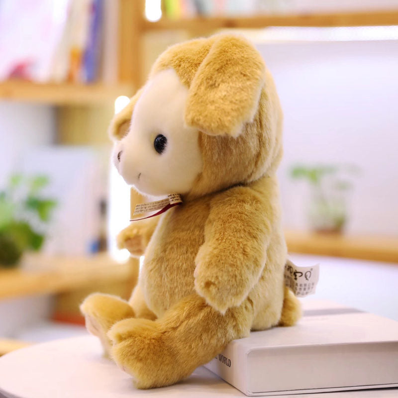 Kawaii Teddy Bär Plüschspielzeug Squishy Kawaii Kuscheltiere