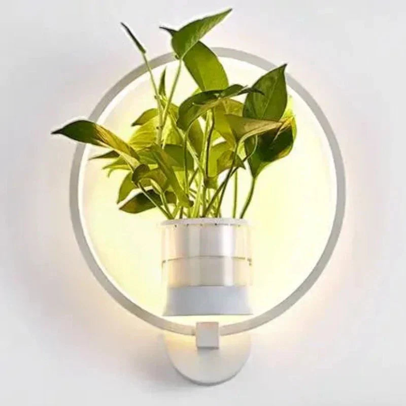 Lumora Pflanzen Wandlampe - Stilvolle Beleuchtung mit natürlicher Begrünung