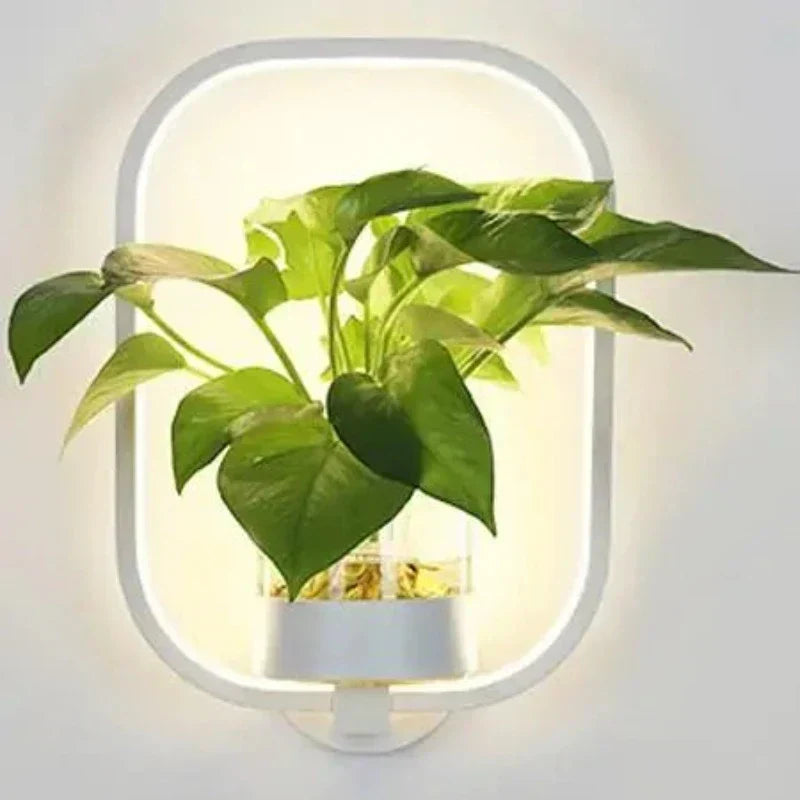 Lumora Pflanzen Wandlampe - Stilvolle Beleuchtung mit natürlicher Begrünung