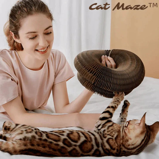 FelineLabyrinth™ - Fabehe Katzenspielzeug