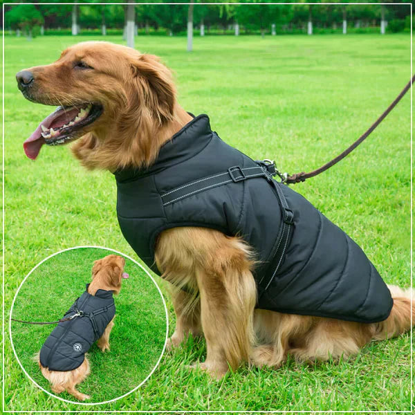 Furcata - Wintermantel für Hunde | 50% RABATT