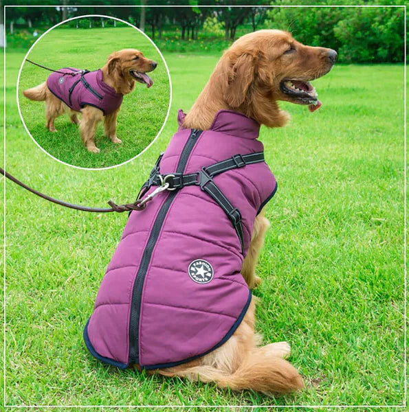 Furcata - Wintermantel für Hunde | 50% RABATT