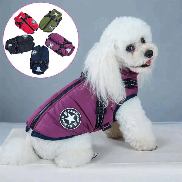 Furcata - Wintermantel für Hunde | 50% RABATT