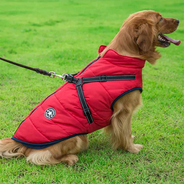 Furcata - Wintermantel für Hunde | 50% RABATT