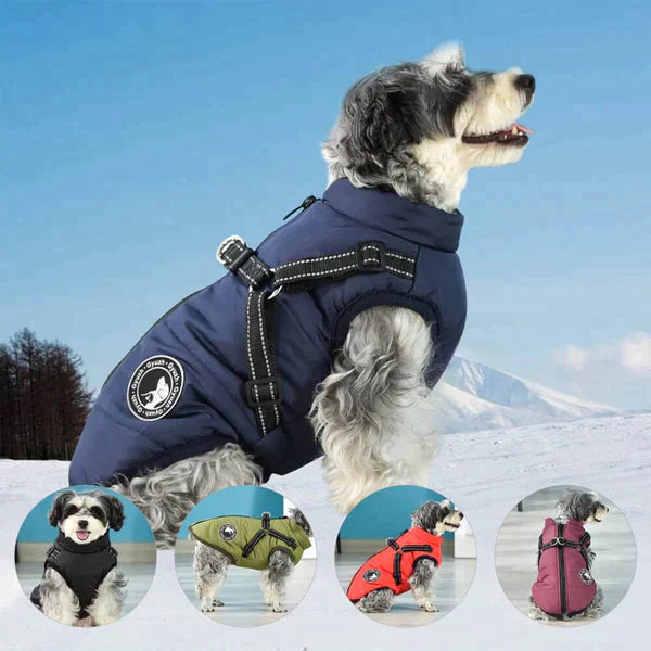 Furcata - Wintermantel für Hunde | 50% RABATT
